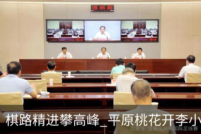 棋路精进攀高峰 平原桃花开李小溪荣升六段